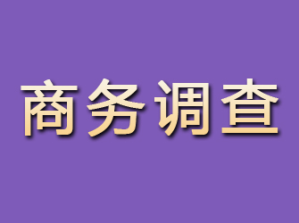 元氏商务调查